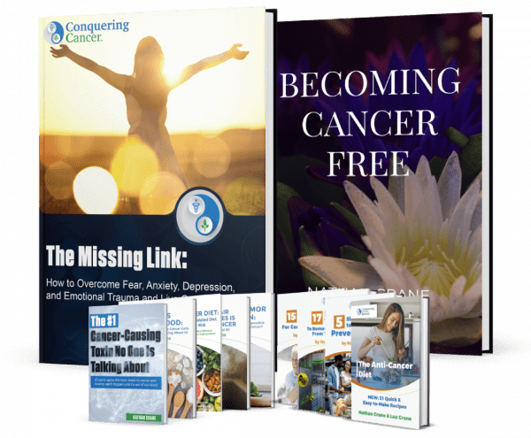 Becoming Cancer-Free Book Bundle $19